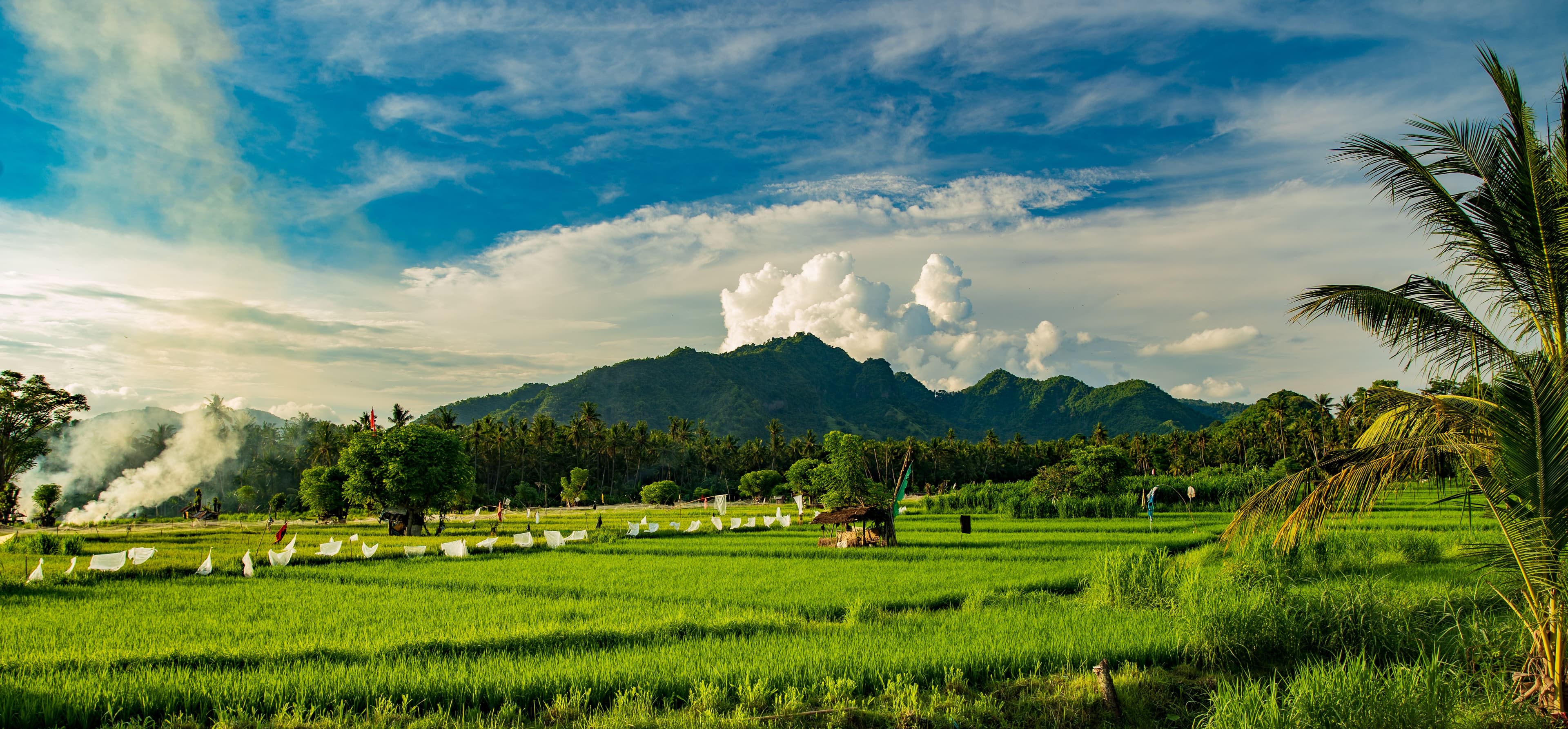 Bali — image 3