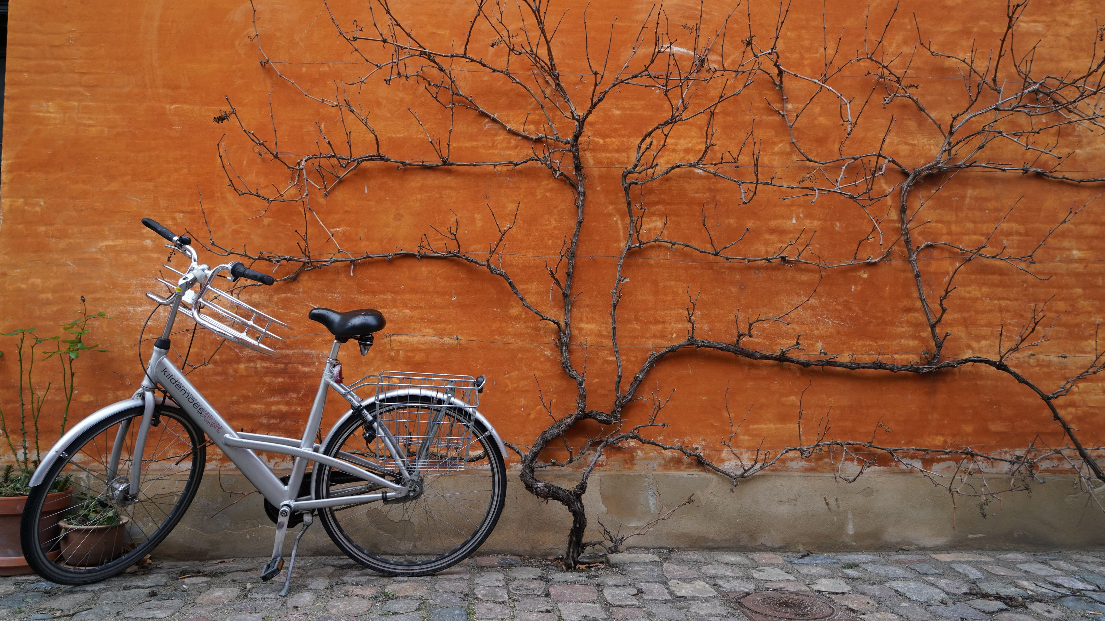 Copenhague — image 2