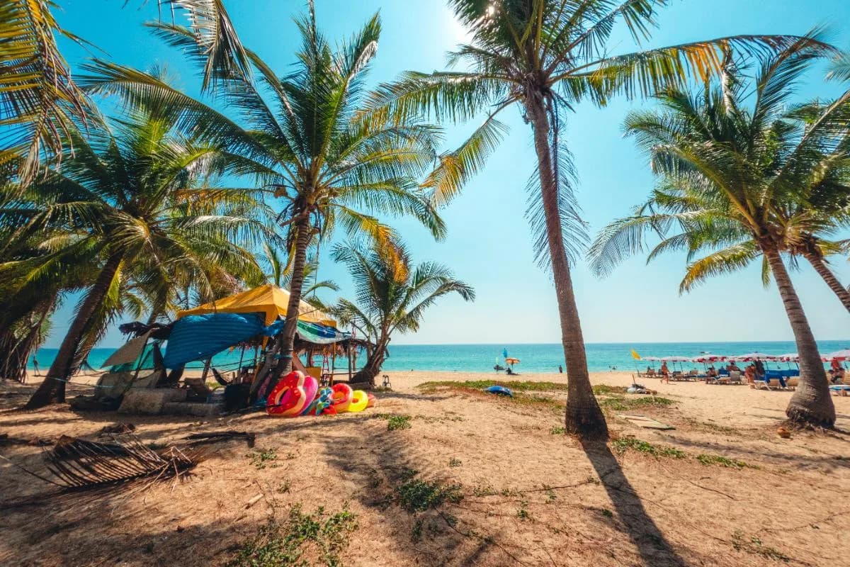 Plage, paradis tropical