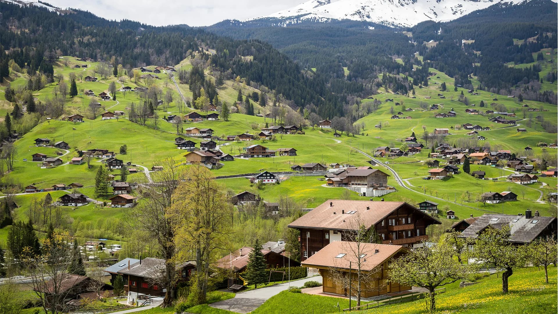 Suisse