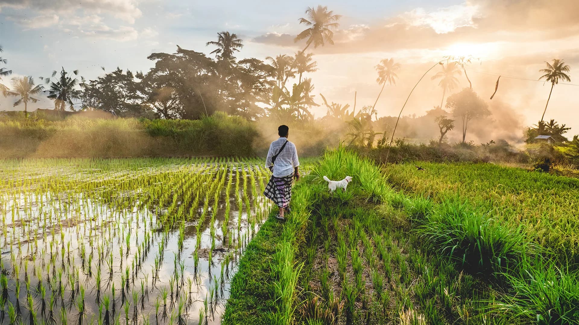 Bali